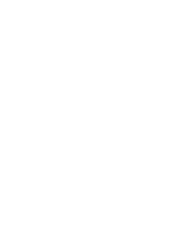 Alpin Logo